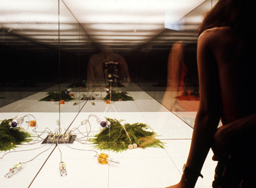 aqqindex:  Superstudio, Microevent Microenvironment, 1972