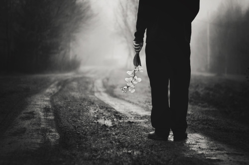 drrinkthewildair: I fancied you’d return the way you said,But I grow old and I forget your nam