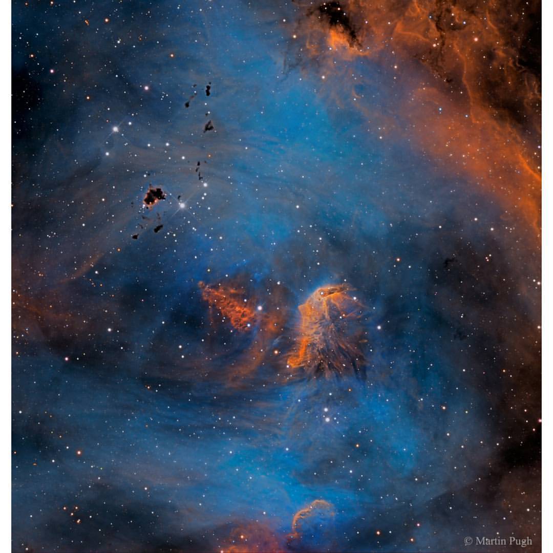 Stars and Globules in the Running Chicken Nebula #nasa #apod #stars #star #molecular