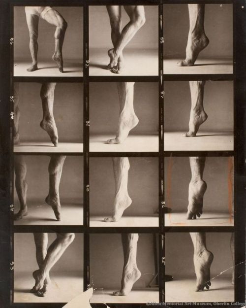 blondebrainpower:  Rudolf Nureyev, París, 1961By Richard Avedon