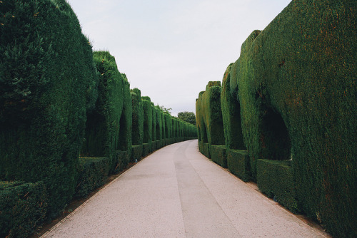 melodyandviolence: Alhambra Palace, Spain by  Yulia Podol'skaya