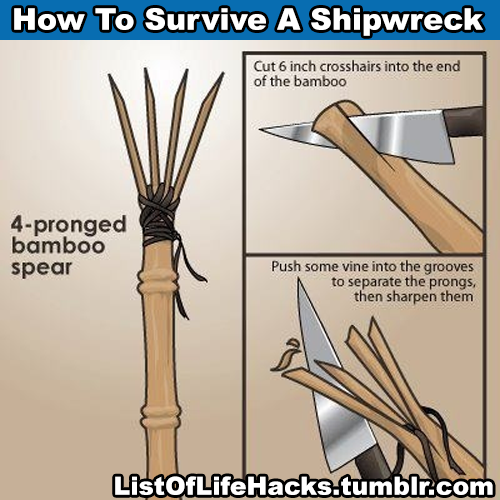 au8:  listoflifehacks:  If you like this list of life hacks, follow ListOfLifeHacks for more like it!  I swear people who follow listoflifehacks will be the most prepared for a zombie apocalypse 