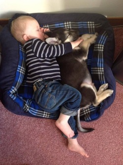 cutiesnfuzzies:  A baby and a puppy asleep