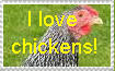 i love chickens