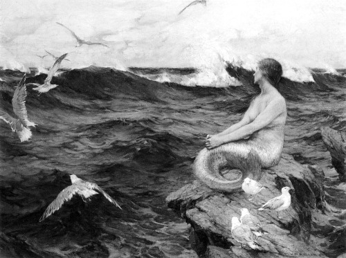 midwinter-tears:    Charles Murray Padday, A Mermaid   