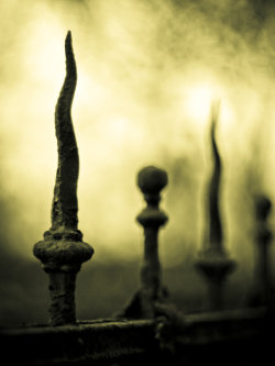 gothnrollx:  The Graveyard by ~ChromaticBokeh