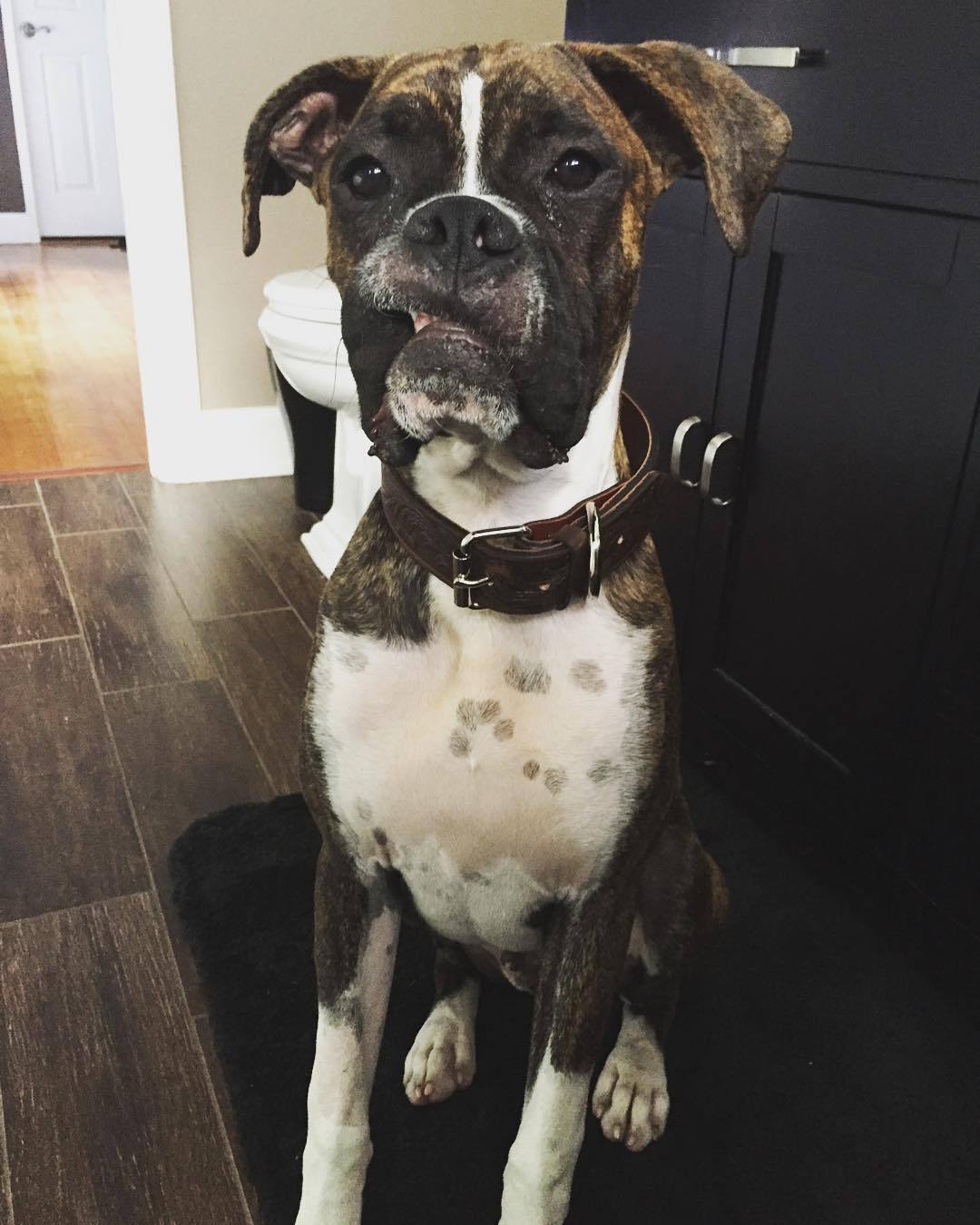 That face!! by 6feetofsunshine