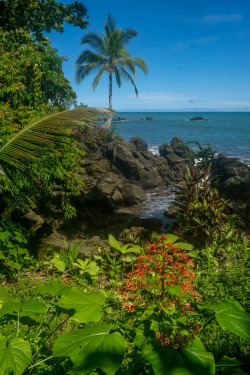 breathtakingdestinations: Chocó - Colombia