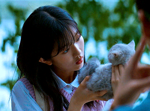 TWINKLING WATERMELON (2023)I Was Worried You'd Be Bored Alone. I Made Sure To Pick Out A Kitty That Looked