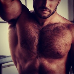 Hairy Vhested&Amp;Hellip; Hairy-Chests:  Http://Hairy-Chests.tumblr.com/ 