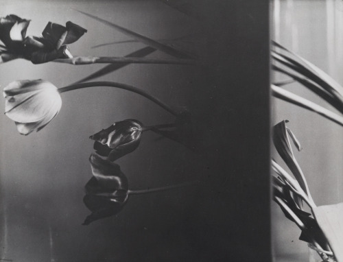 30-7a:Florence Henri, Composition Nature morte, 1931