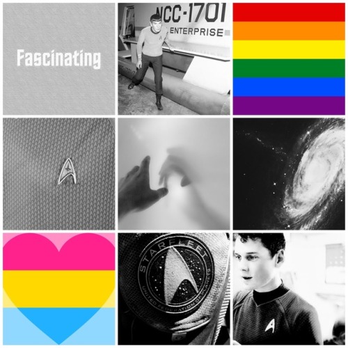 Panromantic Homosexual Star Trek Moodboard for Anonymous