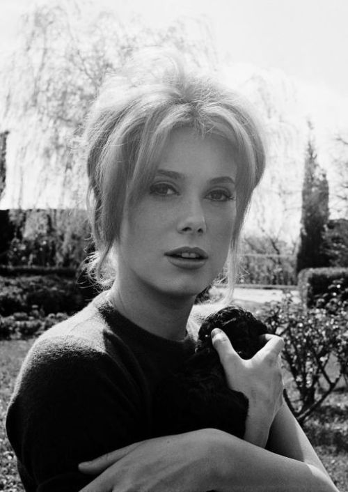 XXX Catherine Deneuve Nudes & Noises   photo