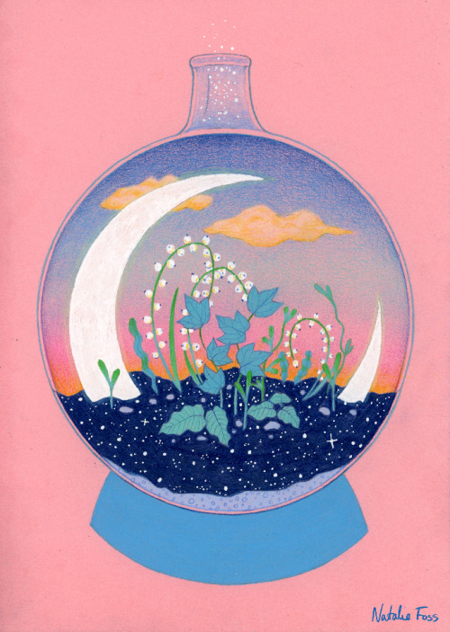 Tiny Moon Terrarium