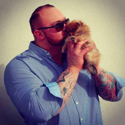 squeeful: optimysticals:  kilomonster:  lepetitdragon:  princeofbellehair:  ithelpstodream: Hafþór Júlíus Björnsson has a tiny puppy named Asterix and it’s amazing. whoever did this, thank you.   I am all about this…  What makes this even better