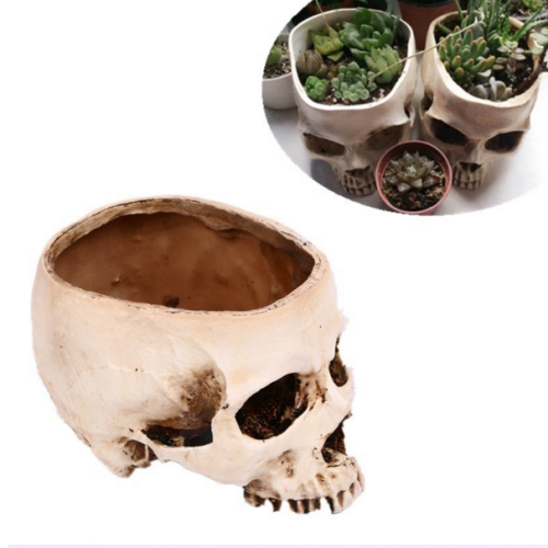 nikk-mayson:Hollow Skull Flower Pot from Banggood ($14.58 w/ free shipping)