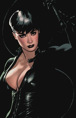 gorgeousvillainy:  Catwoman by Adam Hughes