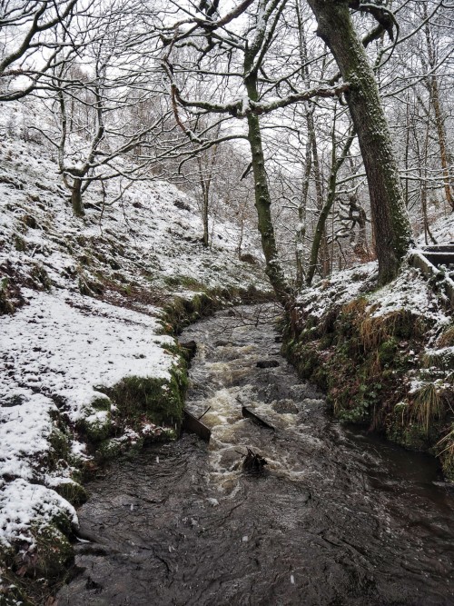 Gorpley Clough Ancient Woodland And Gorge, Todmorden, Calderdale, West Yorkshire. 