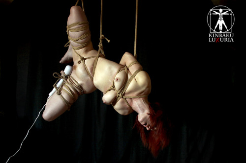 kinbakuluxuria: Pain &amp; pleasure. Rig and image wildties, model redsabbath. full set here:&nb