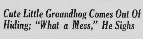 yesterdaysprint:Corsicana Semi-Weekly Light, Texas, February 3, 1948