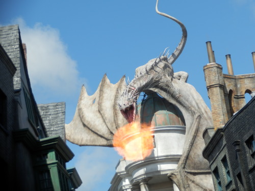 the wizarding world of harry potter