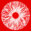 purplepoppy108