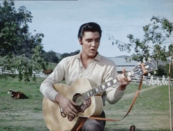 itsnowornever1950:  Loving you (1957) 