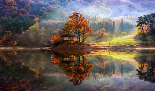 landscape-photo-graphy: Stunning Reflected Landscapes by Jaewoon U Capture The Beauty Of South Kore