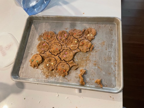 I Made Ginger Bread Squidlits! (Ive Been Munchin Em)