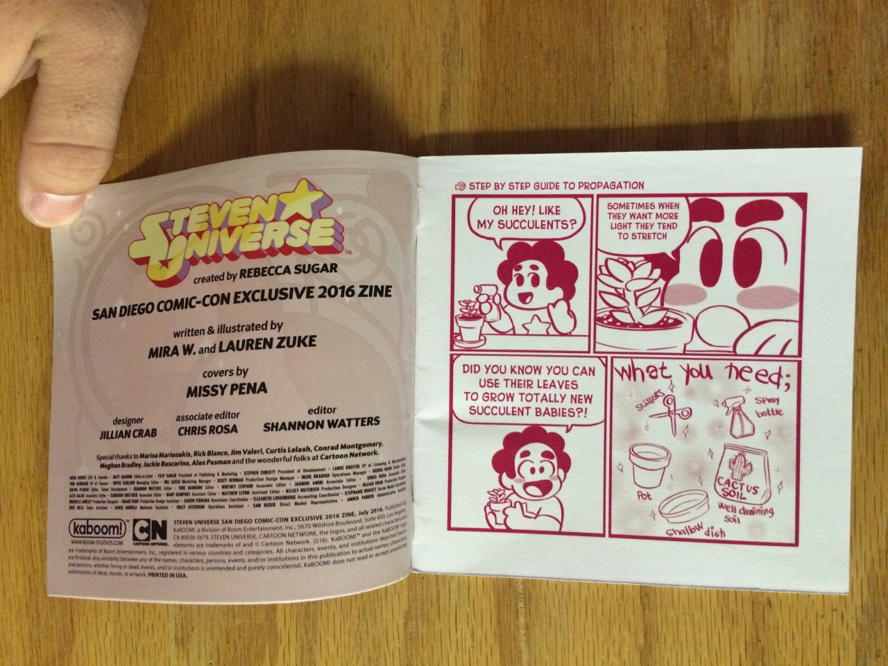 gaygemgoddess:    SDCC Exclusive Steven Universe Zine by Lauren Zuke and Mira W.