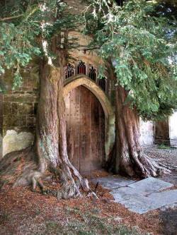 ancientorigins:275 years old door Cotswolds, England