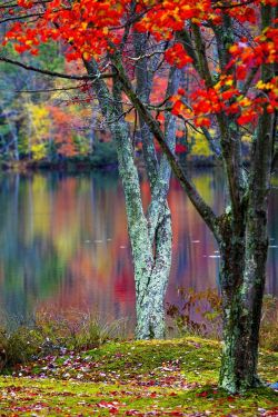 maya47000:  Colors of Fall by Anatoliy Urbanskiy