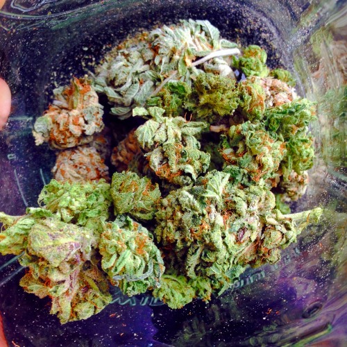 righteous-vibes: Salad🎇🎇 