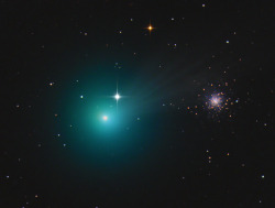 sci-universe:  This pretty green comet can