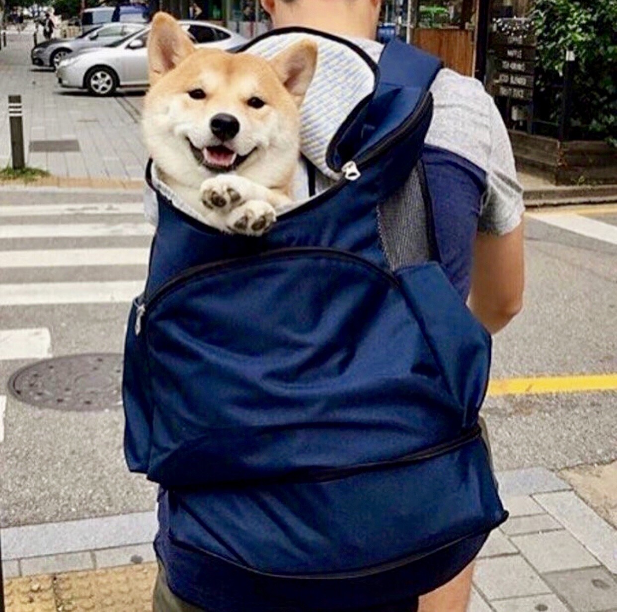 woof?