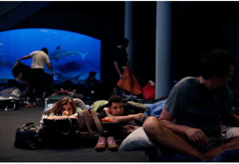 hollybailey:  Scenes from the first adults-only sleepover at the Museum of Natural