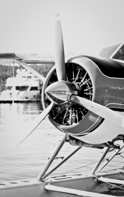 gentlemansessentials:  Float Plane  Gentleman’s