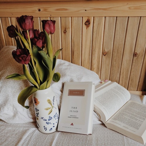 booksandfirelight:
“Happy Sunday! I hope you’re having a relaxing day. What’s your favorite thing to read on a cozy day in? I like classics or escaping into a good fantasy.
”