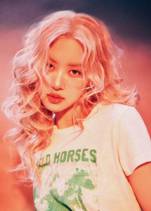 ROS DAZED KOREA