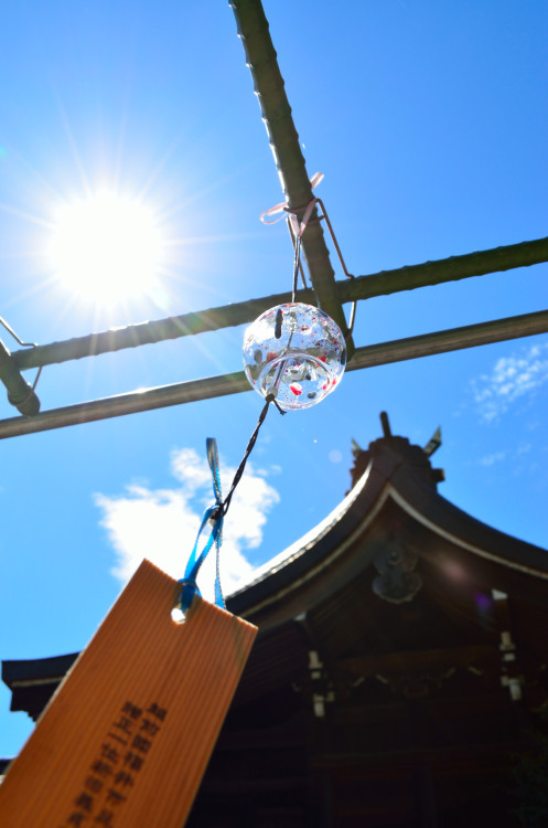 藤島神社の風鈴夏も終わりかね