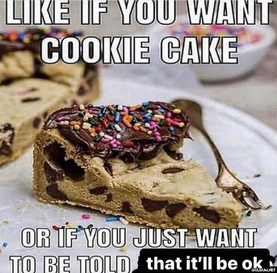 LIKE IF YOU WANT COOKIE...