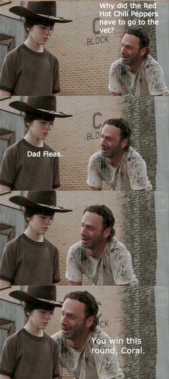 jeimms:  blueeyedmenace:  The walking dead// Rick Grimes dad jokes the walking dead//