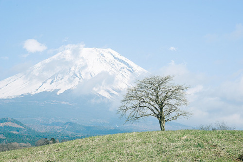 m4rkh0ppusss:  荒凉富士 by CangMin on Flickr.