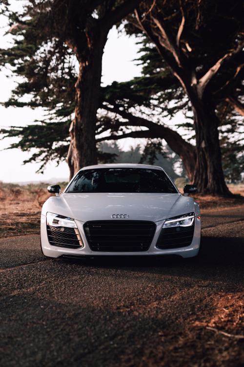 Twin Turbo R8