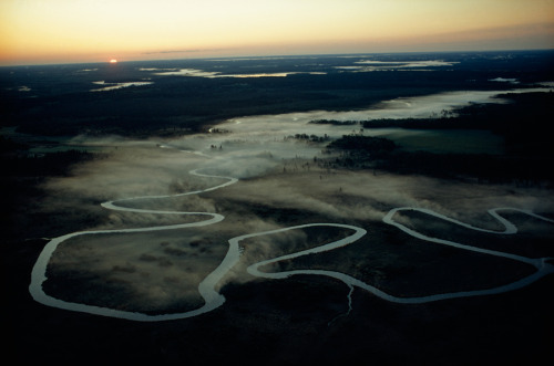 The Mississippi river meanders through a marsh in Minnesota en route to the gulf, June 1971.Photogra