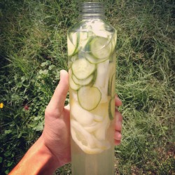 thehealthcosmos:  Adding Lemon + Cucumber to your water helps to structure it. Lemons energise metabolic and digestive activity and Cucumbers cleanse. You could also add Ginger for extra do-it-all healing. In any case: hydrate, hydrate, hydrate.