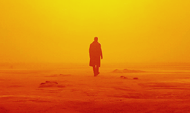lizziesolsen:I had your job once. I was good at it. Things were simpler then.Blade Runner 2049 Offic