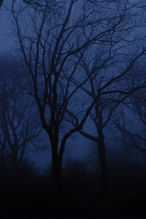 3leapfrogs: buron: Voyage dans la Brume Fluorescent (vi) ©buron - November ‘13 •=• •=• •=•