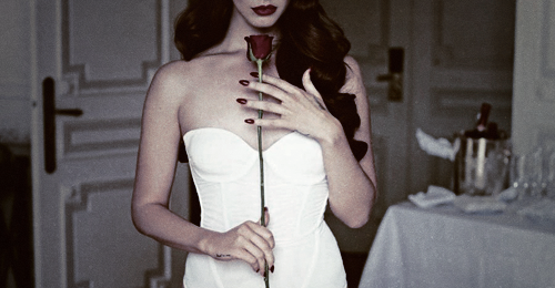 mermaidhotel:  Roses, Bel Air, take me there, I’ve been waiting to meet you. Palm