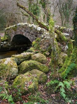 bluepueblo:  Medieval Bridge, Devon, England